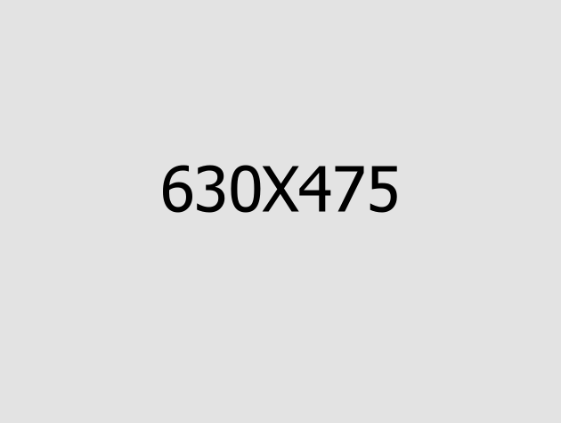 Project List